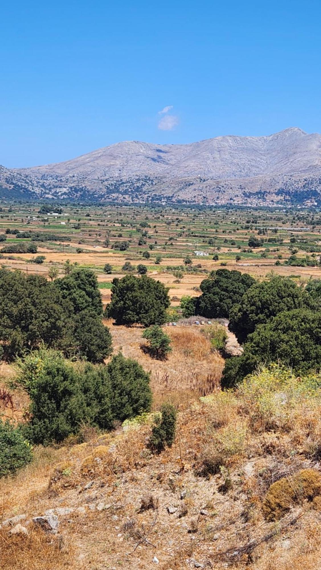 Dionysus Lasithi Plateau Magoulás エクステリア 写真